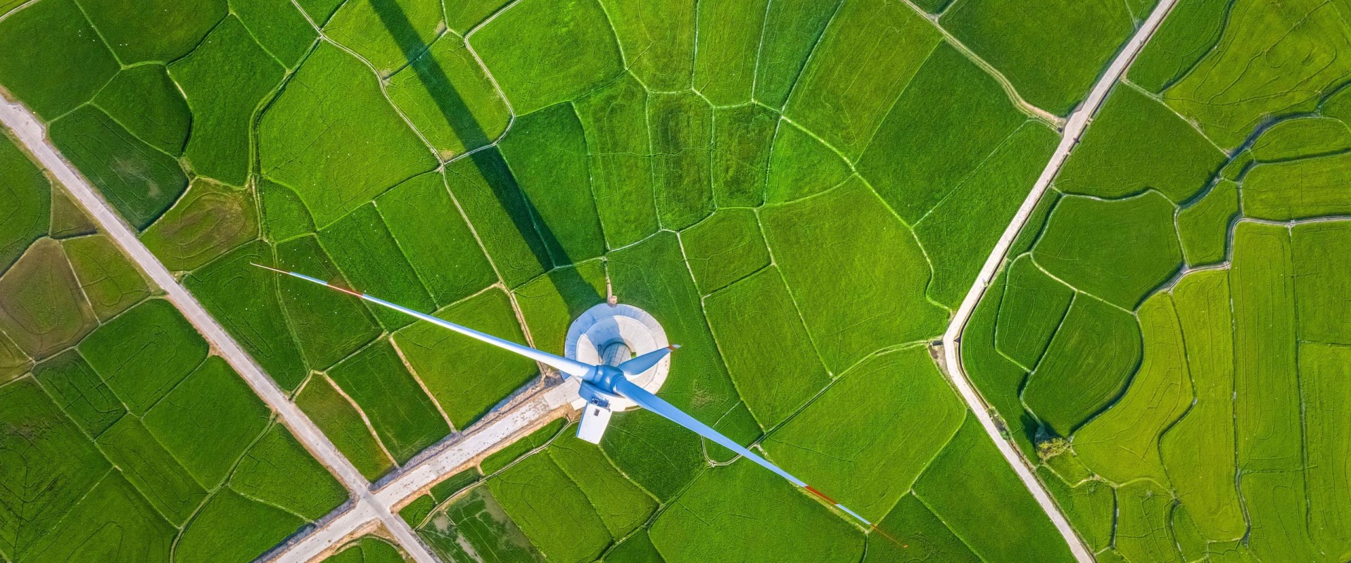 Exploring the Global Network of Cities (GNOC)