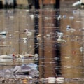 Exploring the Impact of Water Pollution in Cities